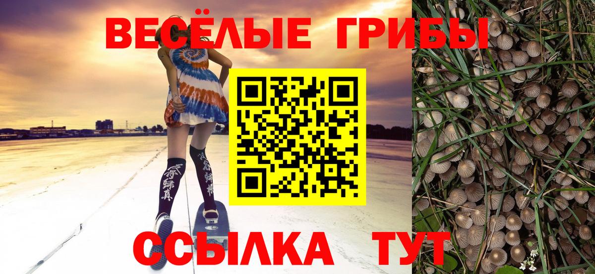 Галлюциногенные грибы прущие грибы Дивногорск