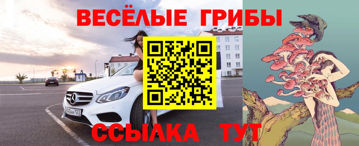 Галлюциногенные грибы GOLDEN TEACHER  Вход с VPN  Дивногорск 